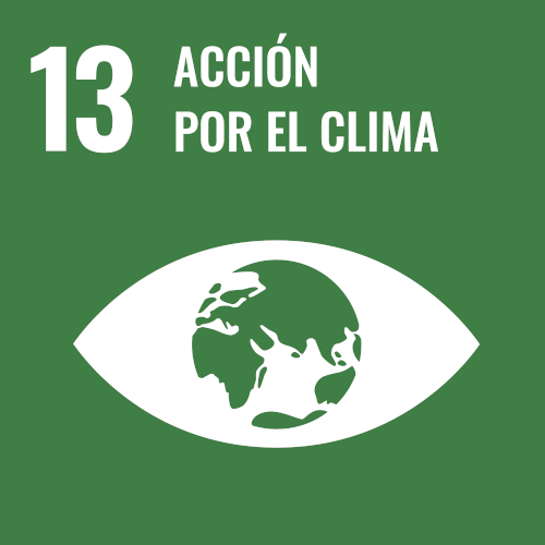SDG 13 acción por el clima