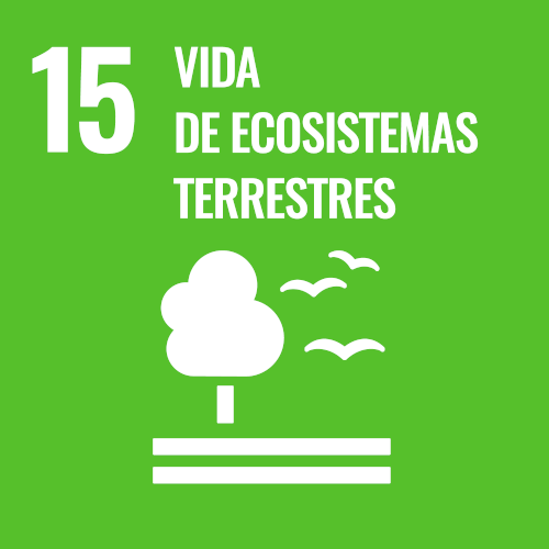 SDG 15 vida de cosistemas terrestres